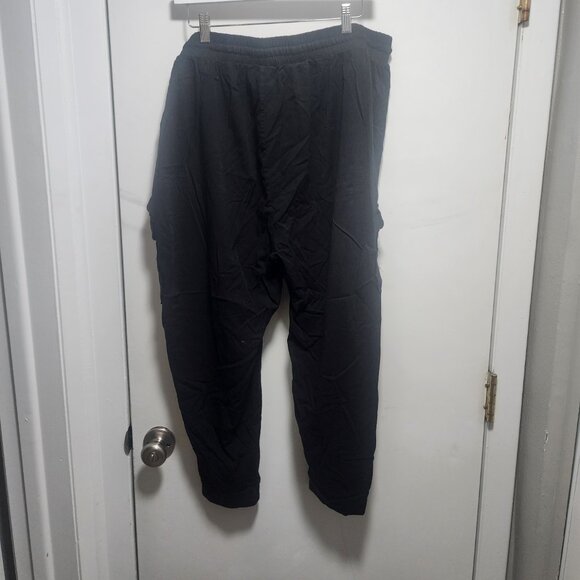 Worn Once Torrid Size 3 Regular Pants - Picture 2 of 3